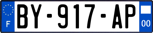 BY-917-AP