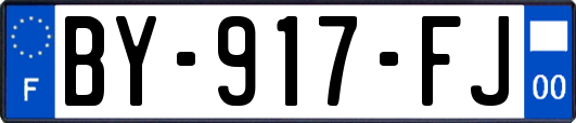 BY-917-FJ