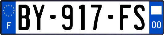 BY-917-FS