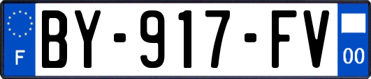 BY-917-FV