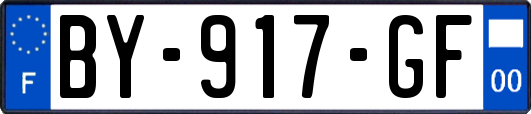 BY-917-GF