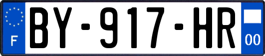 BY-917-HR