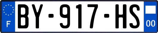 BY-917-HS