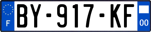 BY-917-KF