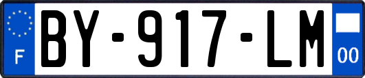 BY-917-LM