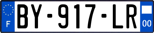 BY-917-LR