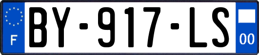 BY-917-LS