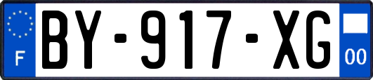 BY-917-XG