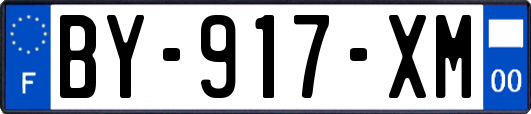 BY-917-XM