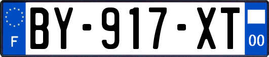 BY-917-XT