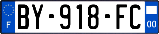 BY-918-FC