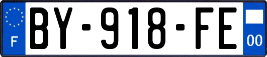 BY-918-FE