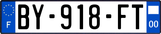BY-918-FT