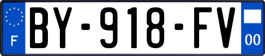 BY-918-FV
