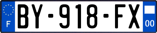 BY-918-FX