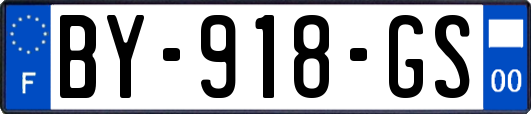 BY-918-GS