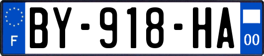 BY-918-HA