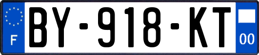 BY-918-KT