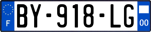 BY-918-LG