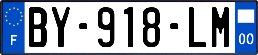 BY-918-LM