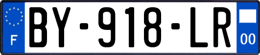 BY-918-LR