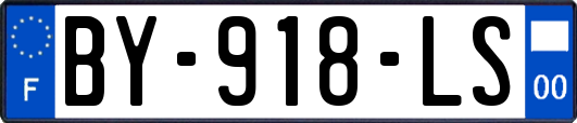 BY-918-LS