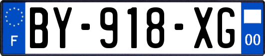 BY-918-XG
