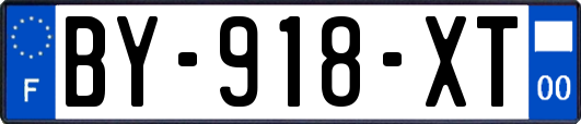 BY-918-XT