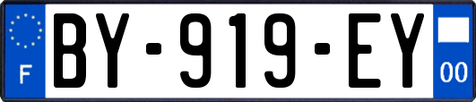 BY-919-EY