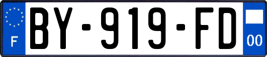 BY-919-FD