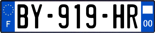 BY-919-HR