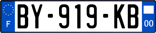 BY-919-KB