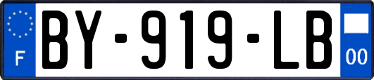 BY-919-LB