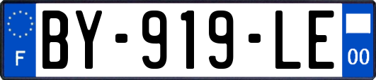 BY-919-LE