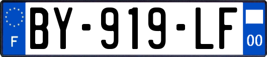 BY-919-LF