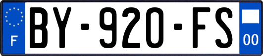 BY-920-FS
