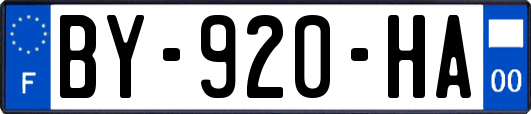 BY-920-HA