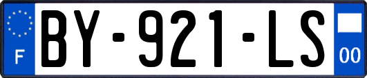 BY-921-LS
