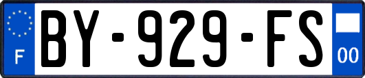 BY-929-FS
