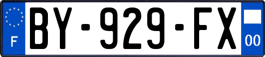 BY-929-FX