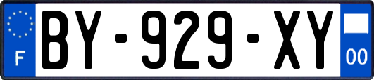 BY-929-XY