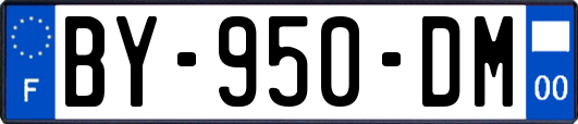 BY-950-DM
