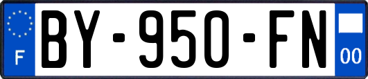 BY-950-FN