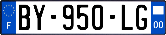 BY-950-LG