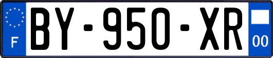 BY-950-XR