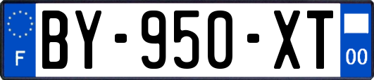 BY-950-XT