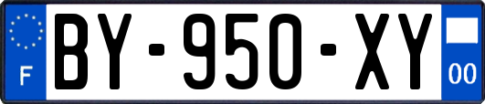 BY-950-XY