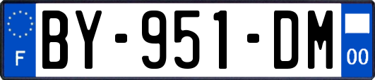 BY-951-DM