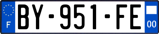 BY-951-FE