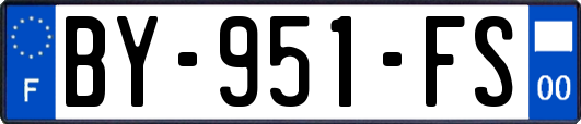 BY-951-FS